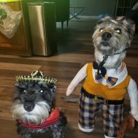 Banfield Pet Hospital ico