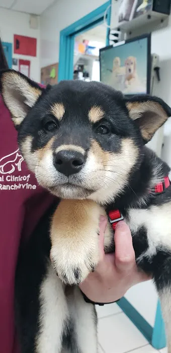 Animal Clinic of Tustin Ranch Irvine 12