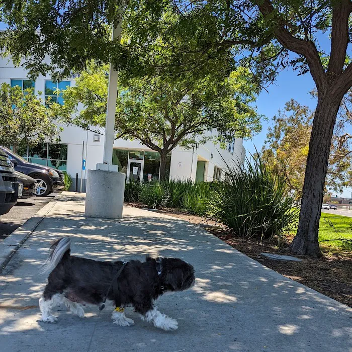 Veterinary Cancer Group OC, A Thrive Pet Healthcare Partner 12