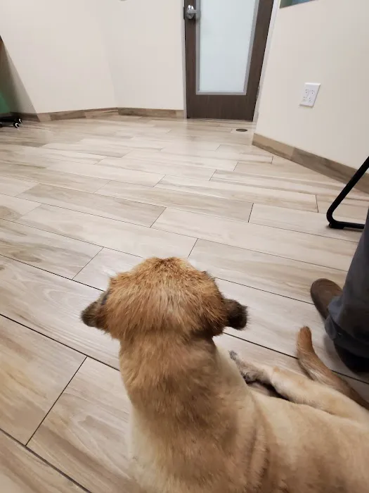 VCA PetPoint Medical Center and Resort 12
