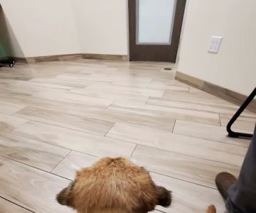 VCA PetPoint Medical Center and Resort