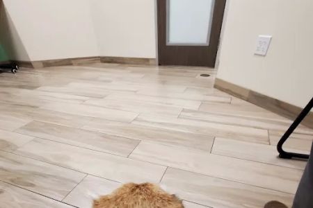 VCA PetPoint Medical Center and Resort