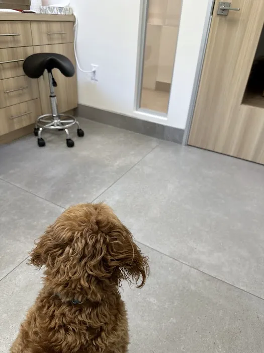 UrbanVet 12