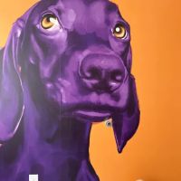 UrbanVet ico
