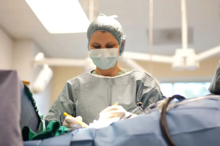 Veterinary Surgical Specialists 10