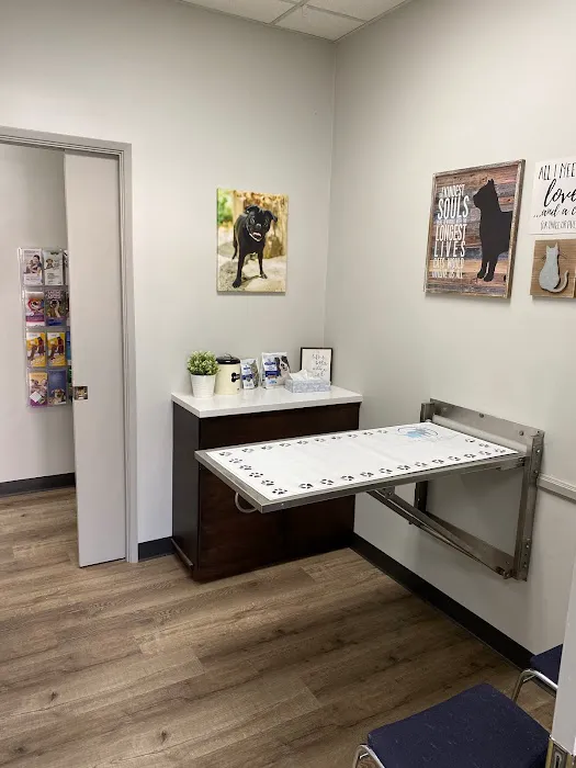 Orange Canyon Pet Clinic 12