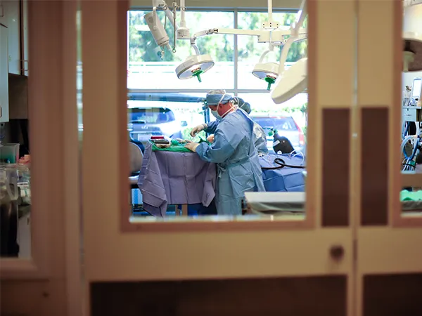 AVSG Internal Medicine Emergency & Critical Care 12