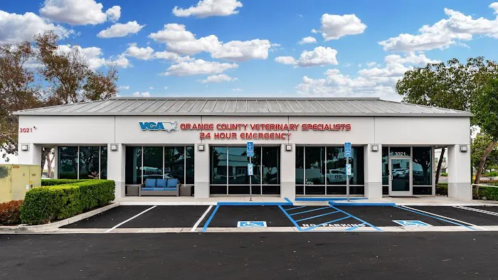VCA Orange County Veterinary Specialists 12