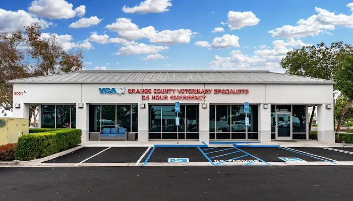 VCA Orange County Veterinary Specialists 12
