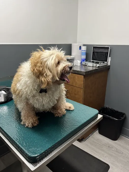 Eye Care for Animals - Tustin 12