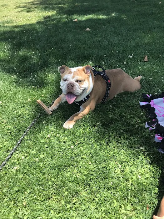 Eye Care for Animals - Tustin 12