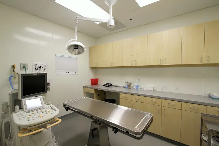 Advanced Veterinary Medical Imaging 6