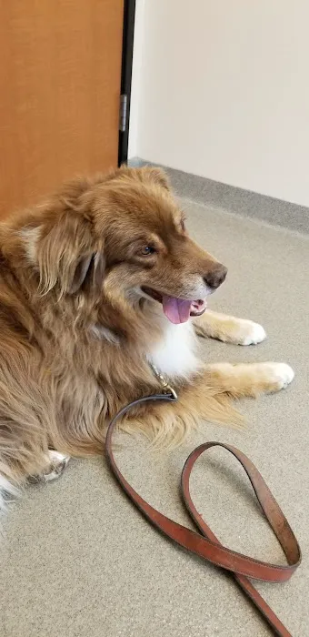 Veterinary Neurology Center 12