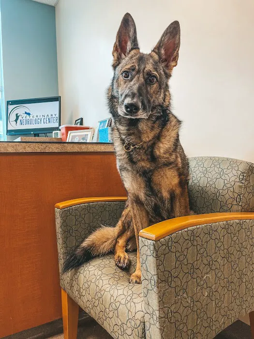 Veterinary Neurology Center 12