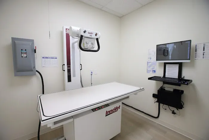 Grace Animal Hospital | Downey 12