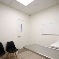 Grace Animal Hospital | Downey ico