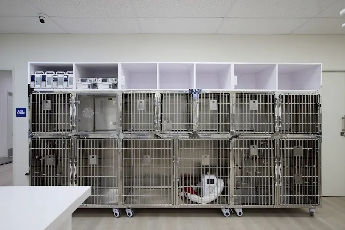Grace Animal Hospital | Downey 12