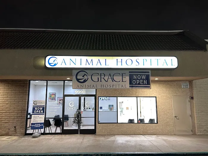 Grace Animal Hospital | Downey 12