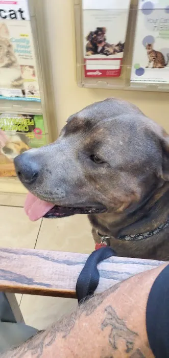 Downey Veterinary Hospital 12