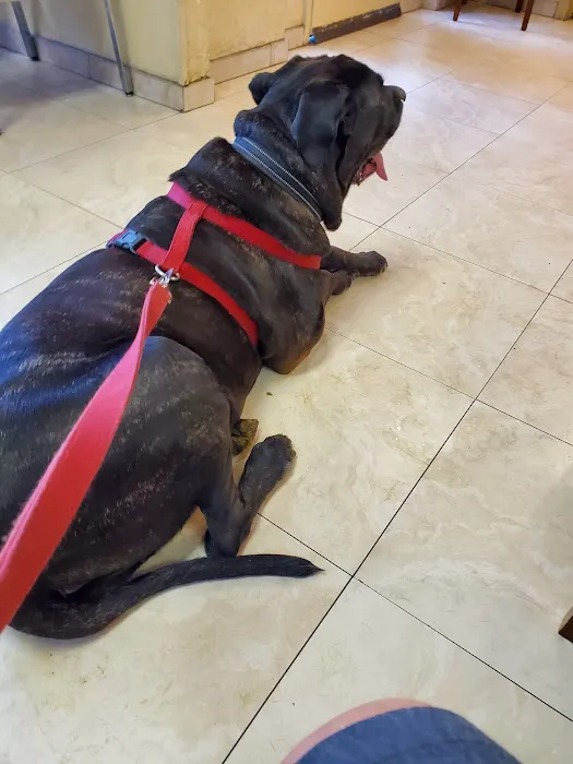 Downey Veterinary Hospital 12