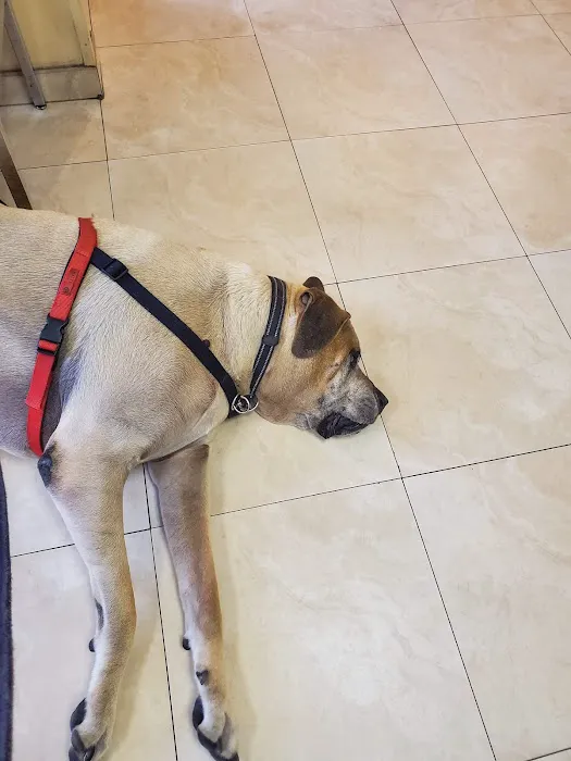 Downey Veterinary Hospital 12