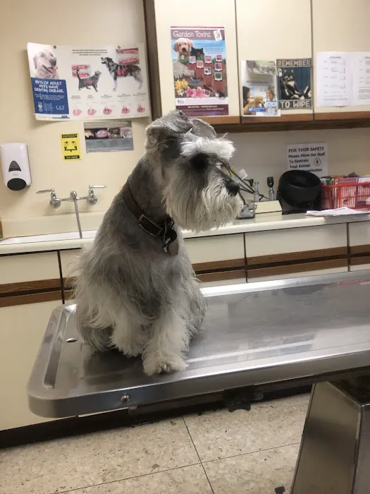 Thomas Veterinary Hospital 12