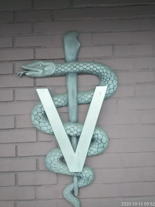 Hollydale Veterinary Hospital 12
