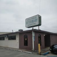 Hollydale Veterinary Hospital ico