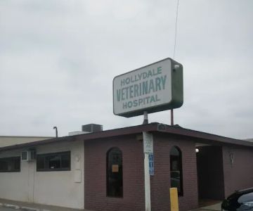 Hollydale Veterinary Hospital