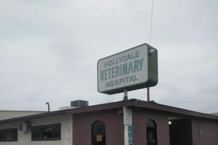 Hollydale Veterinary Hospital