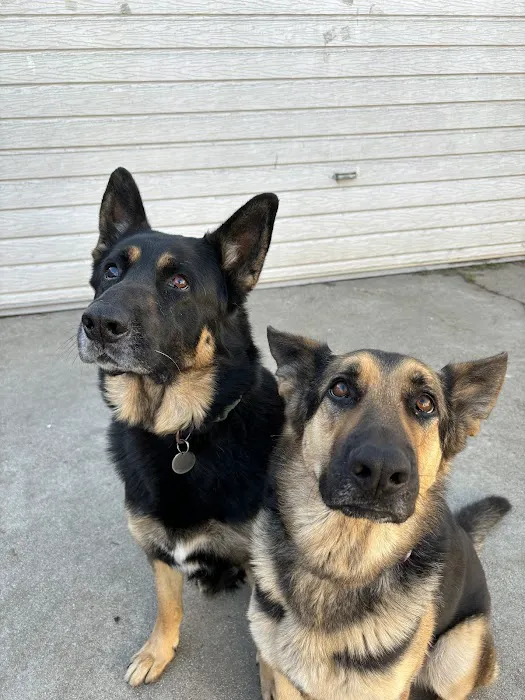 Alameda Animal Hospital 12