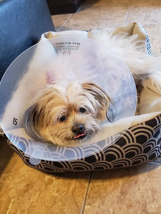 Alameda Animal Hospital 12