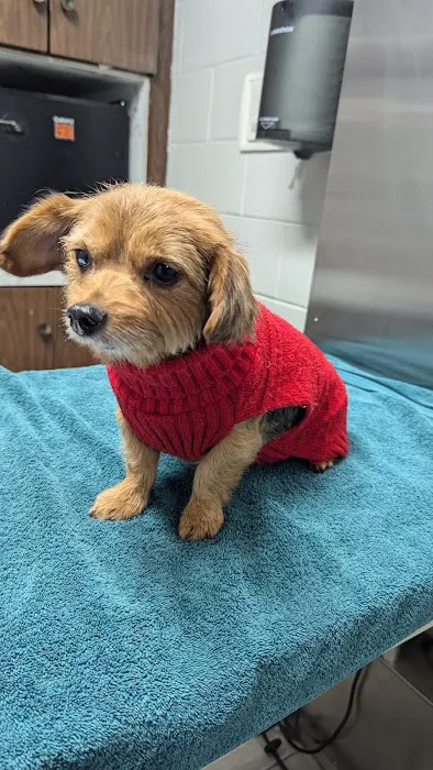 Alameda Animal Hospital 12