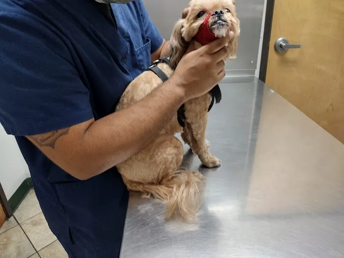 City Line Pet Clinic 12