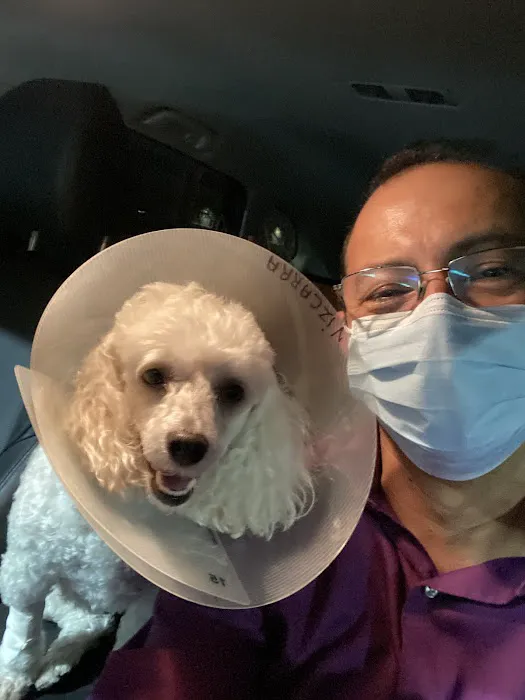 City Line Pet Clinic 12