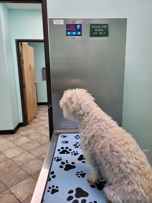 City Line Pet Clinic 12
