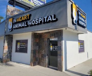 Inheart Animal Hospital Veterinarian