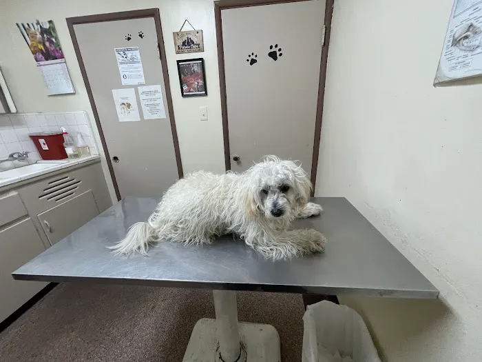 Lynwood Dog and Cat Hospital 12