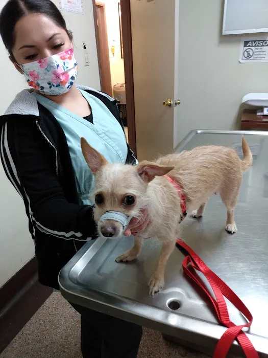 Lynwood Dog and Cat Hospital 12