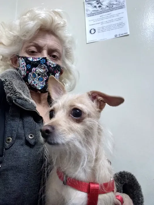 Lynwood Dog and Cat Hospital 12