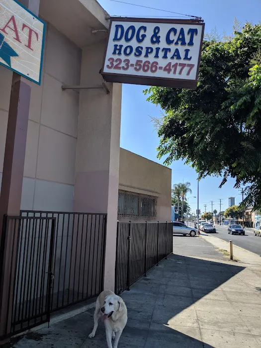Lynwood Dog and Cat Hospital 12