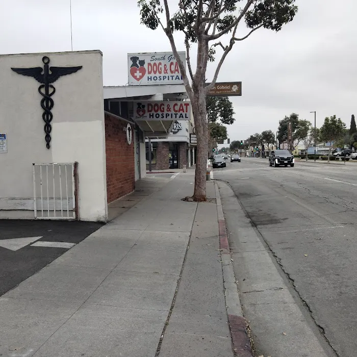 South Gate Dog - Cat Hospital 12