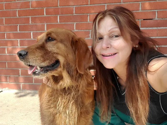 South Gate Dog - Cat Hospital 12