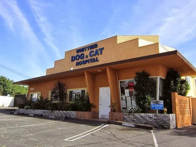 Whittier Dog and Cat Hospital 12