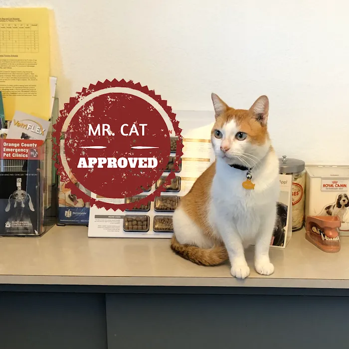 Whittier Dog and Cat Hospital 12