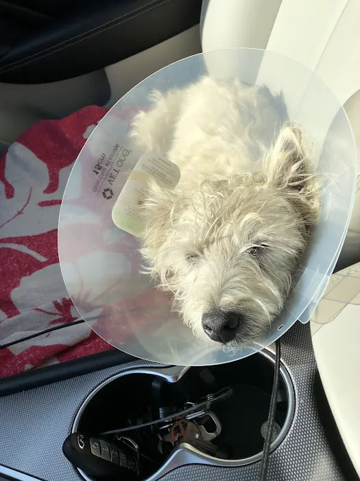 Pico Rivera Animal Hospital 12