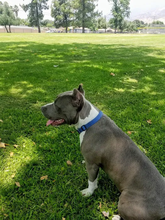 Pico Rivera Animal Hospital 12