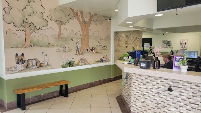 Pico Rivera Animal Hospital 12