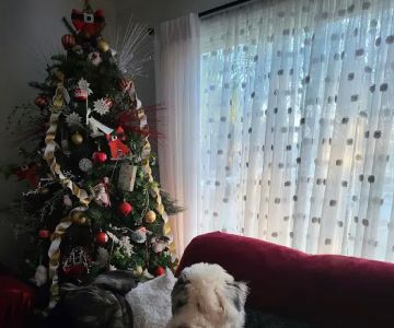 Park Community Animal Hospital