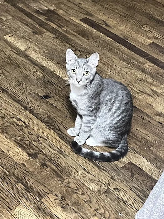 Park Community Animal Hospital 12